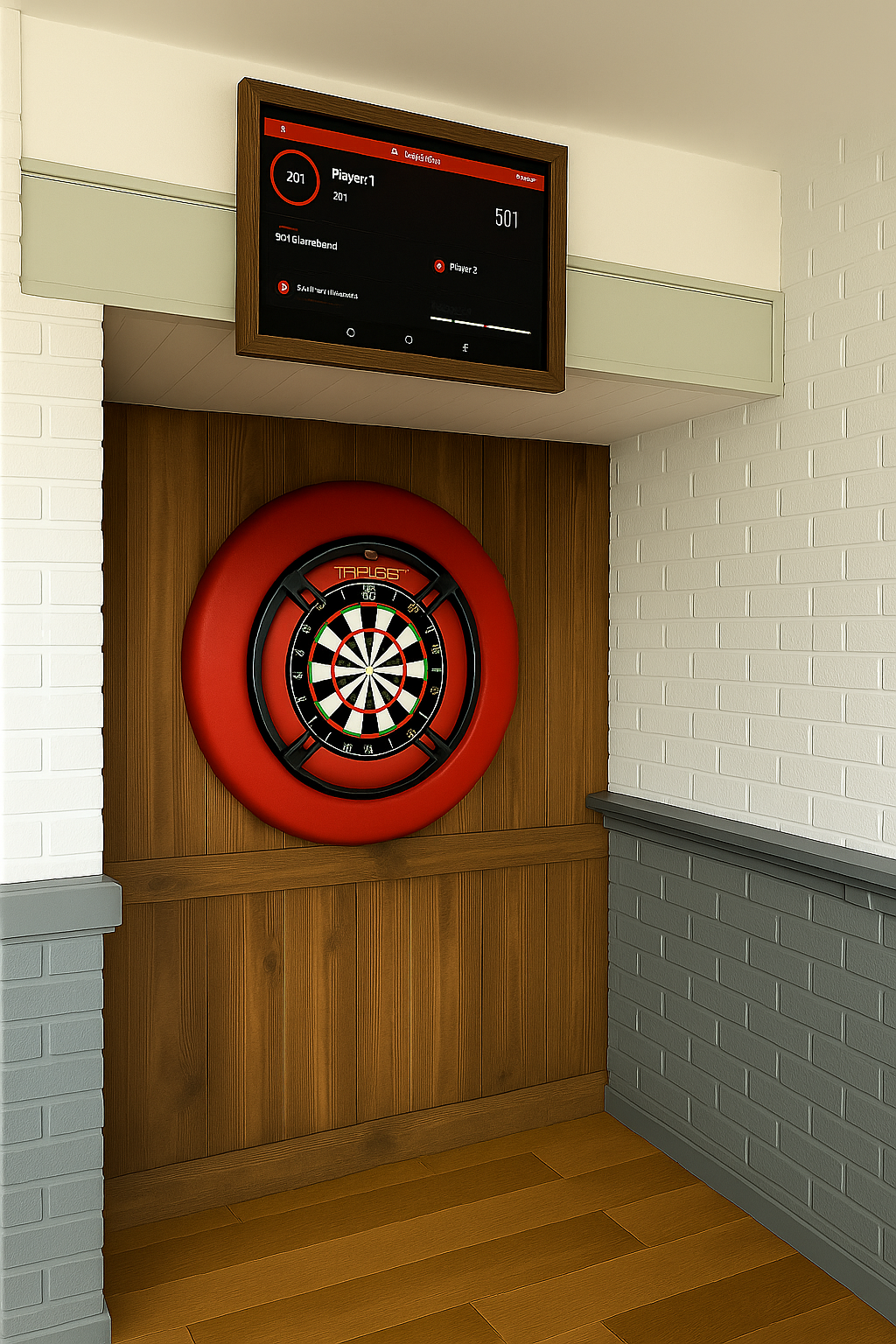 Professional Darts Setup